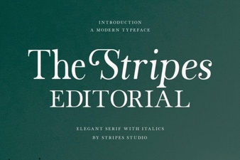 The Stripes Editorial Serif Font | Elegant Classic Typeface for Print & Digital